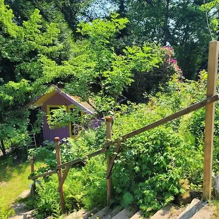 Natur Pur: Wald-ferienwohnung