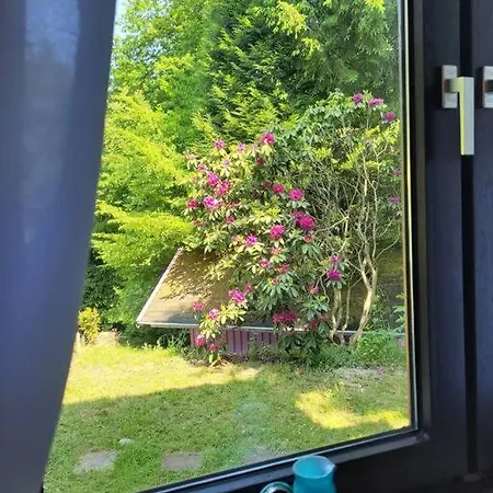 Lejlighed Natur Pur: Wald-ferienwohnung Velbert