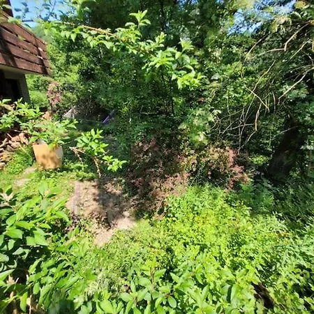 Natur Pur: Wald-ferienwohnung Velbert