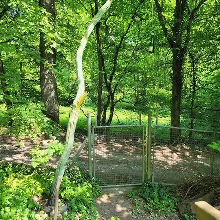 Lejlighed Natur Pur: Wald-ferienwohnung