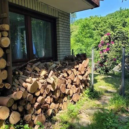 Natur Pur: Wald-ferienwohnung *