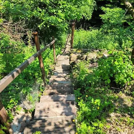 Natur Pur: Wald-ferienwohnung Velbert