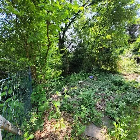 Natur Pur: Wald-ferienwohnung * Velbert