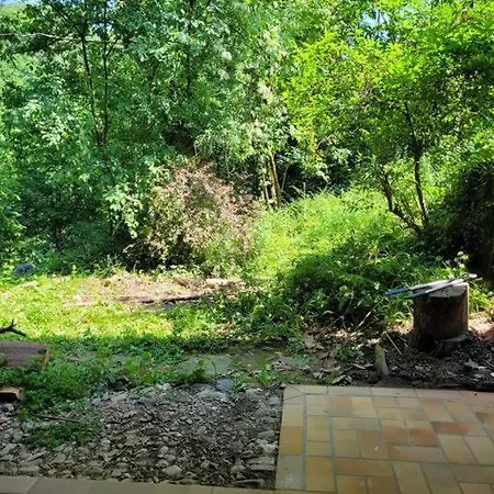 Natur Pur: Wald-ferienwohnung * Velbert
