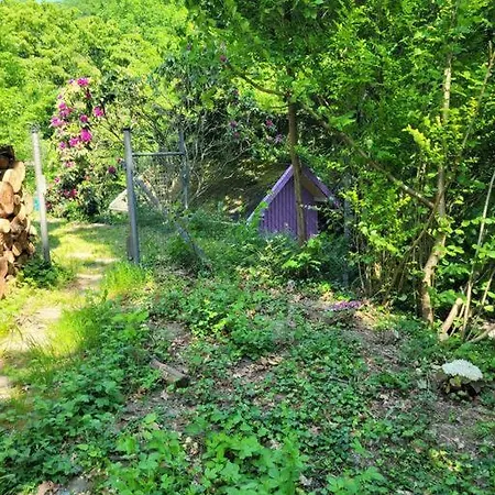 Lejlighed Natur Pur: Wald-ferienwohnung