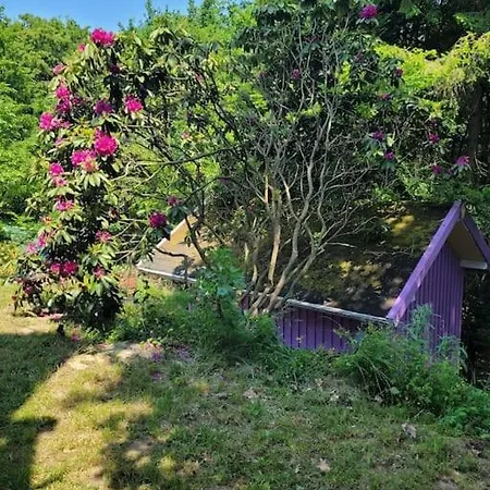 Natur Pur: Wald-ferienwohnung