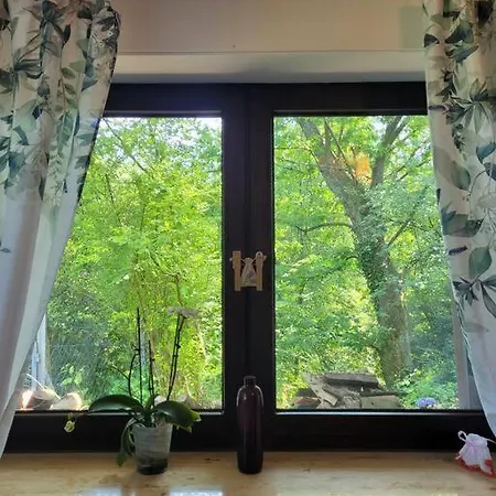 Natur Pur: Wald-ferienwohnung Lejlighed
